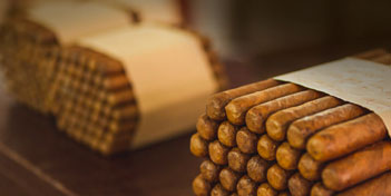Cigares cubains : le Habano