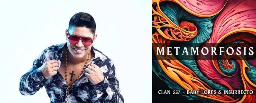 Clan 537 - Metamorfosis